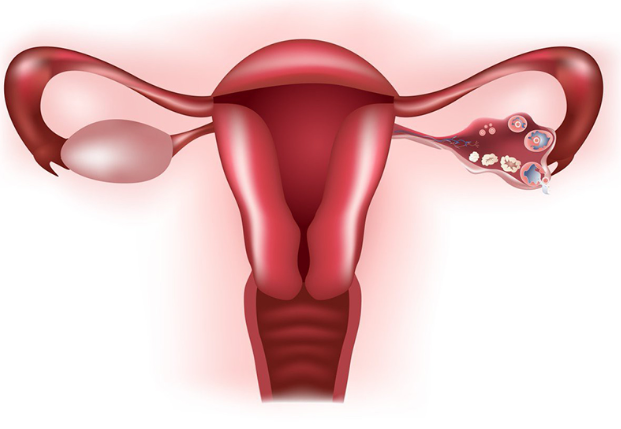 Cao Nhân Tâm Phúc